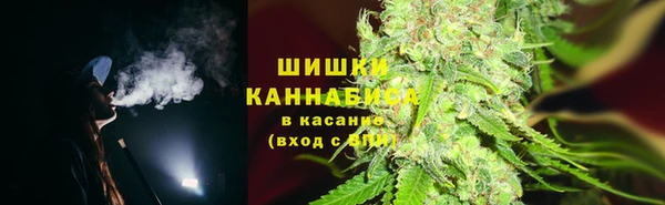 эйфоретик Иннополис