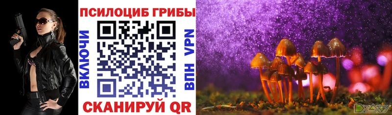 Псилоцибиновые грибы мухоморы  Купить закладки  Балтийск 