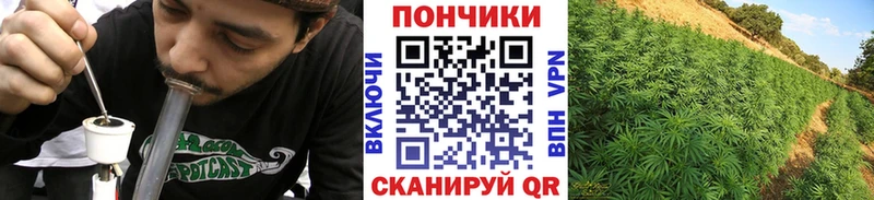 Бошки марихуана конопля  Купить  Балтийск 
